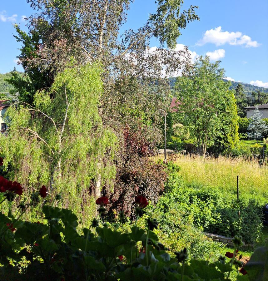 Apartament Drozdzikowka Żywiec Dış mekan fotoğraf