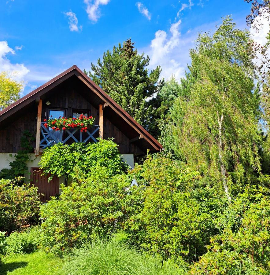Apartament Drozdzikowka Żywiec Dış mekan fotoğraf
